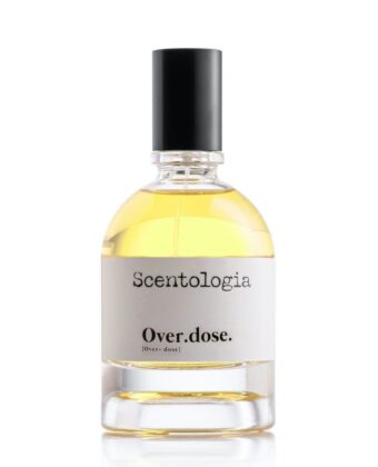 Overdose Eau de parfum 100ml - Scentologia