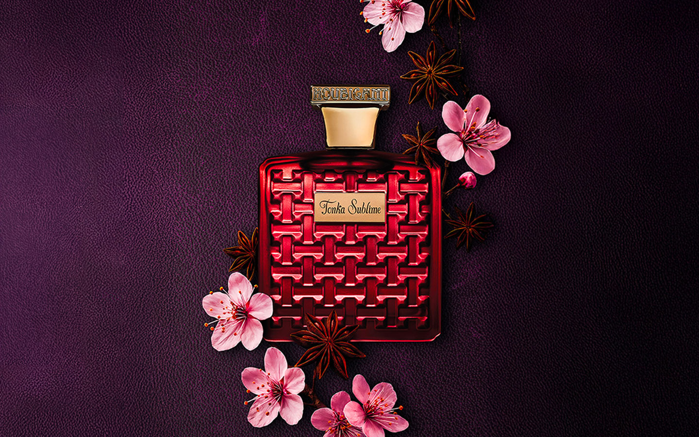 Le novità del momento